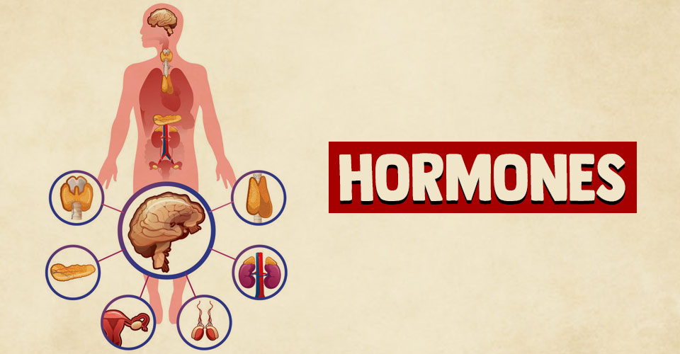 Other Hormones
